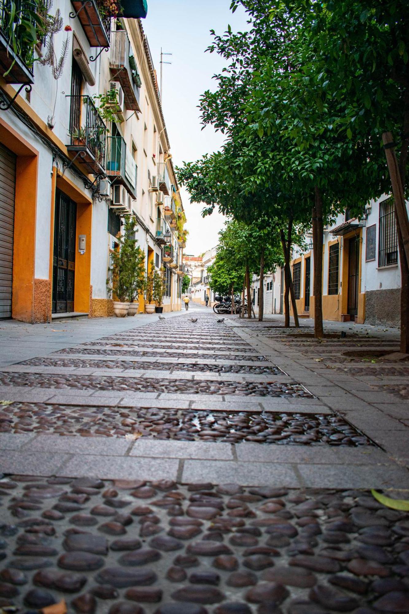 Alojamiento Entero, Centro De Cordoba Con Cochera Экстерьер фото